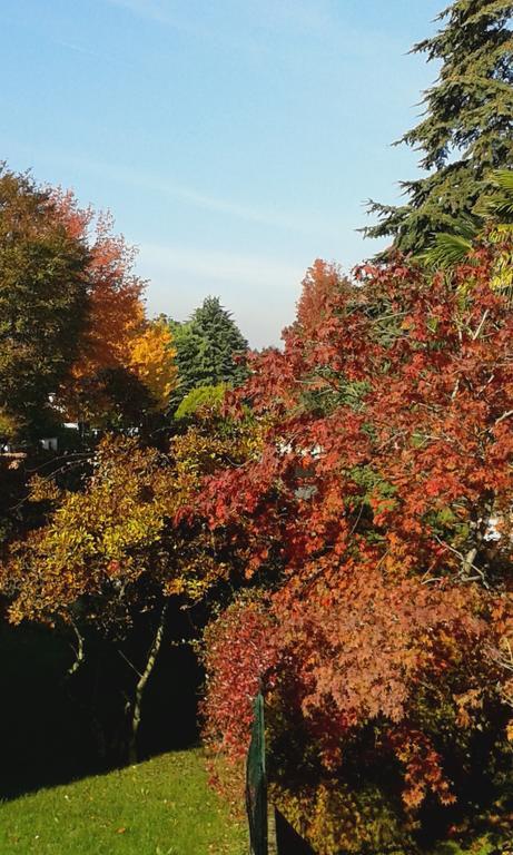 La Rocchetta B&B 特雷扎诺南纳维利奥 外观 照片